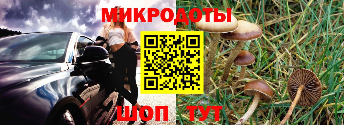 Люберцы  Галлюциногенные грибы GOLDEN TEACHER  Вход с VPN 